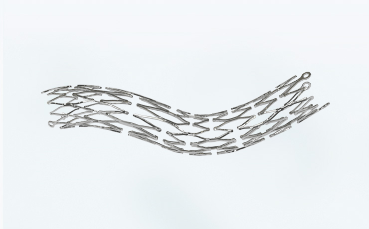 braided stents