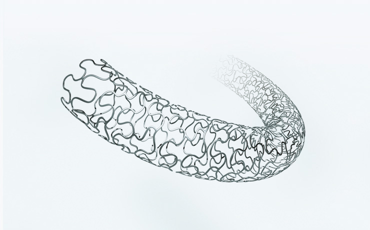 Cardiovascular Stents