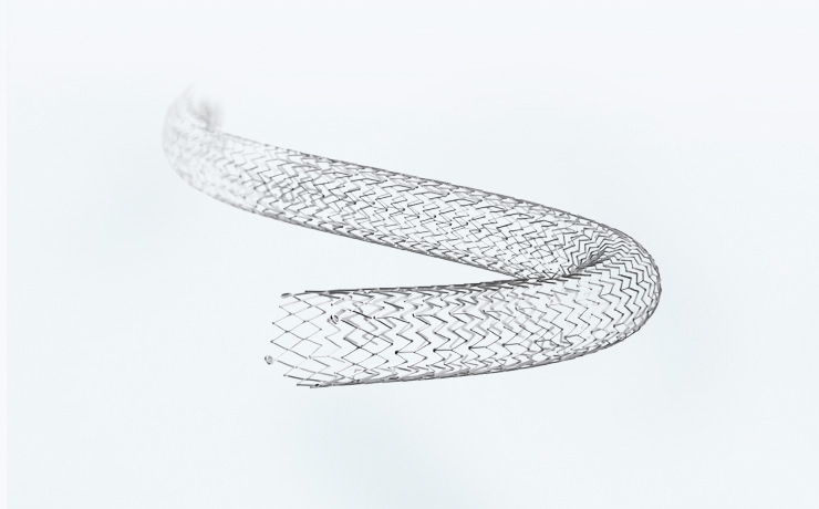  Peripheral Stents