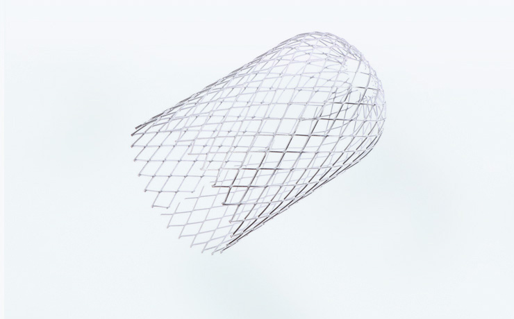 Cardiovascular Stents