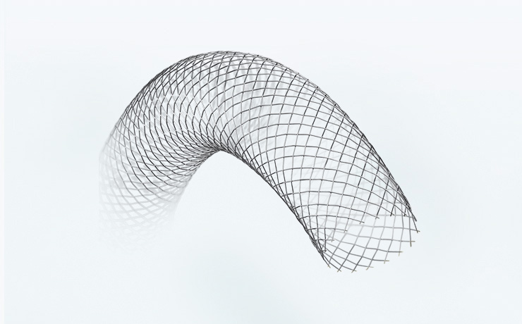 Carotid Artery Stent