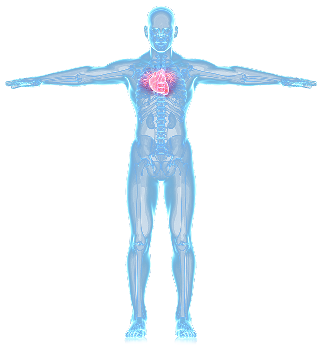 Electrophysiology