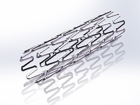 Vertebral Stents