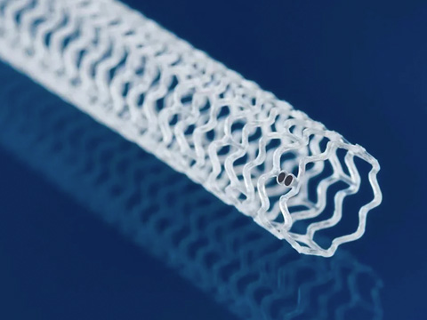 Biodegradable Stents