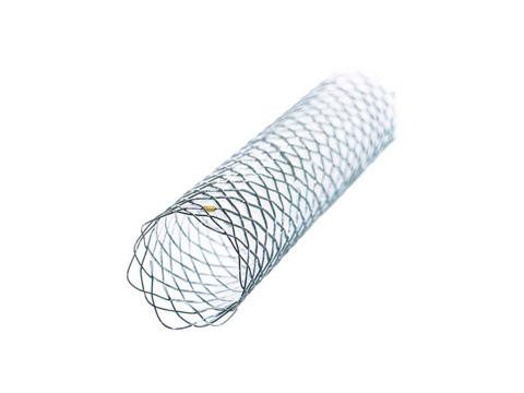 Braided Stents